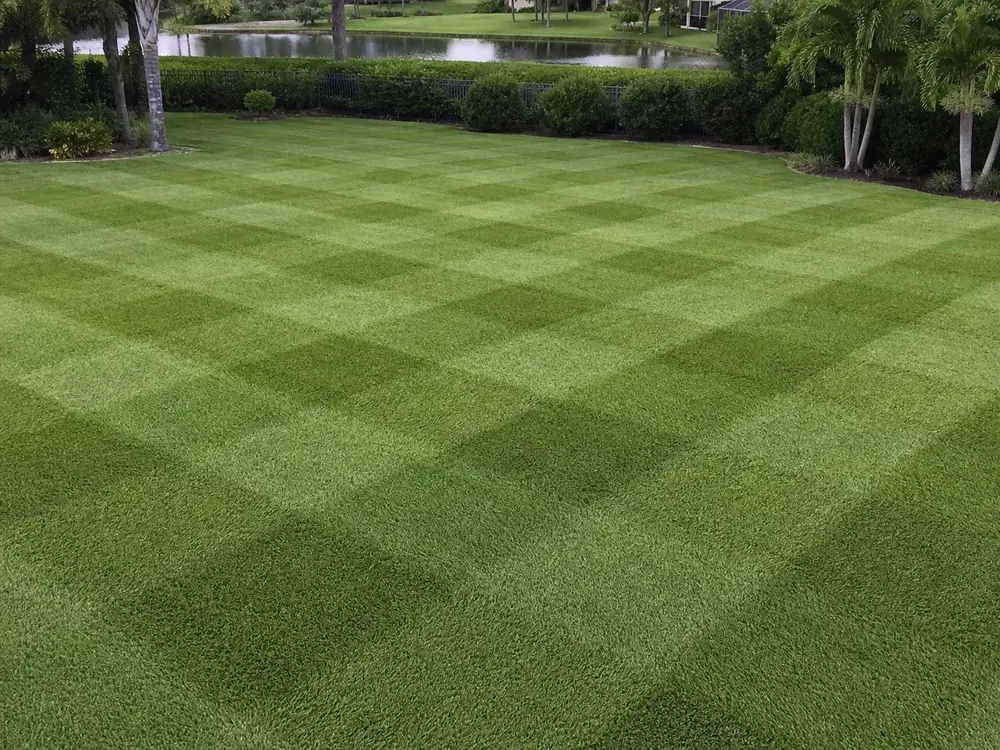 checkerboard mowing pattern